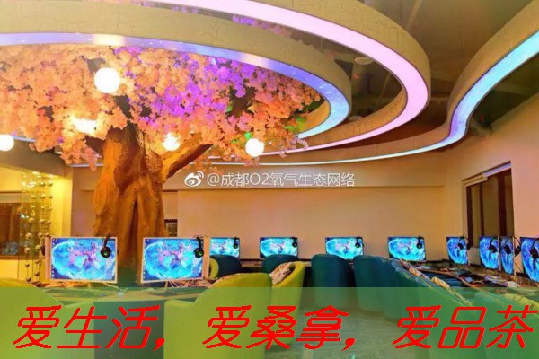 南宁仙湖茶馆：茶香飘逸的宁静空间