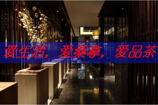 南宁阳光茶馆：品味阳光与茶的美好时光