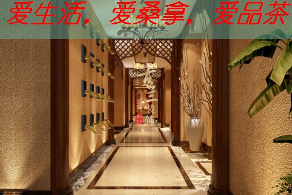 南宁茶艺师：传承茶文化的使者